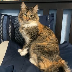 Meet your Posher, Evan